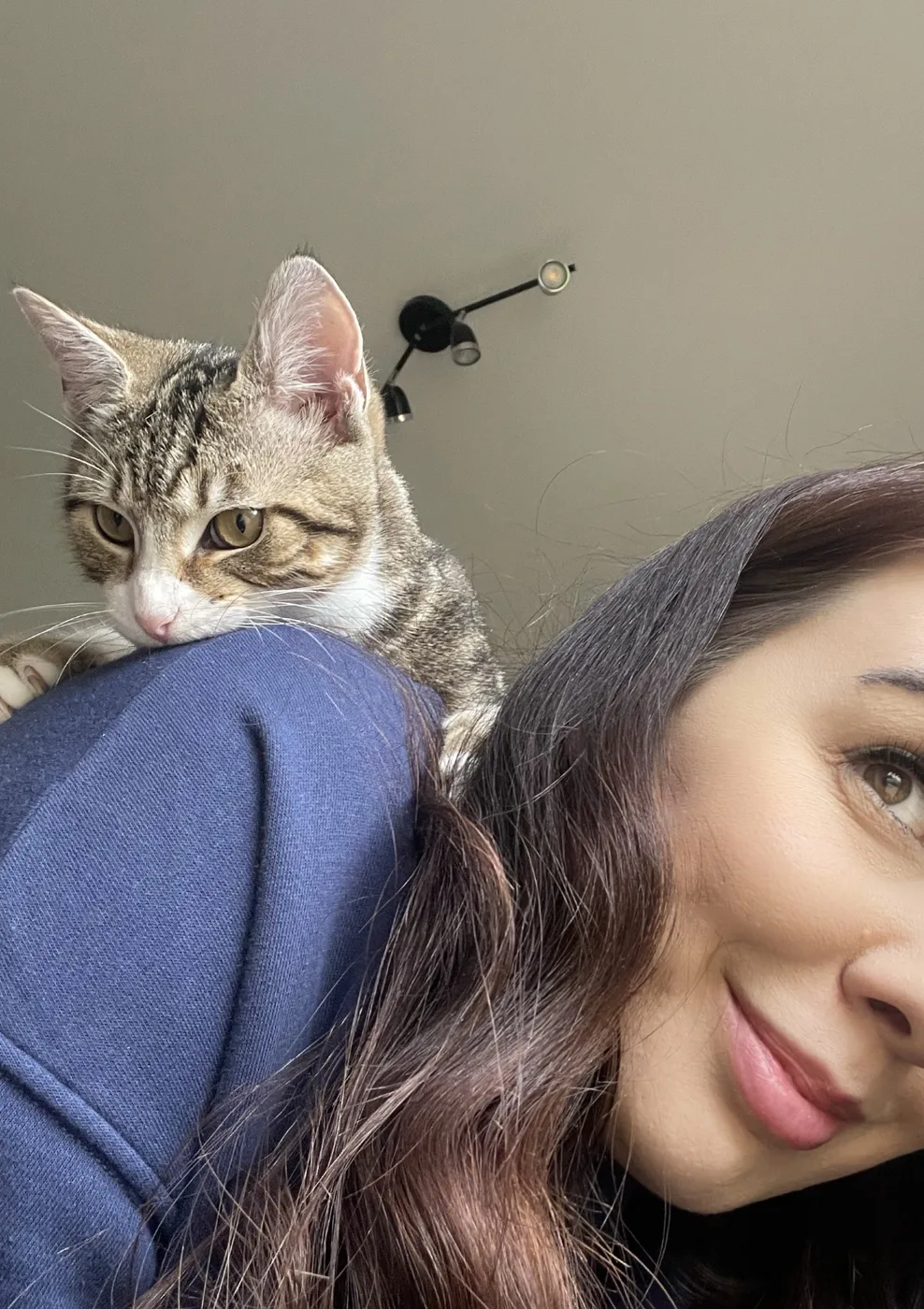 Cosy Cats